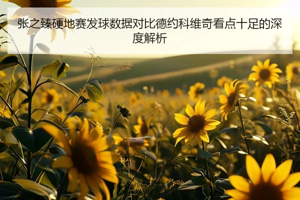 张之臻硬地赛发球数据对比德约科维奇看点十足的深度解析（BOBSPORTS）